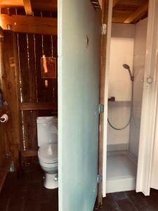a bathroom with a toilet and a shower at Les Cabanes du Vigné in Molandier