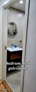 a bathroom with a mirror and a sink at ÖSTERLEN PARKEN in Simrishamn