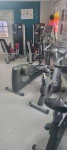 a gym with a bunch of exercise equipment in a room at Triskarla in Mönkebude