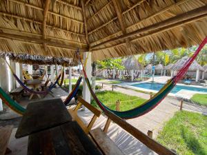a group of hammocks in a resort with a pool at Hotel Paseo del Sol in La Paz