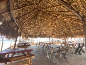 a straw hut with tables and benches on the beach at Hotel Paseo del Sol in La Paz