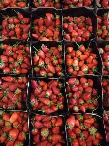 Une bande de fraises dans des paniers sur une table dans l'établissement Agriturismo La Casa in Collina, 