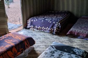 a room with two beds and a window at Camel Trek Bivouac in Merzouga