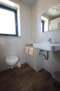 ein Badezimmer mit einem Waschbecken, einem WC und einem Spiegel in der Unterkunft Gasthof Ehrl in Essing