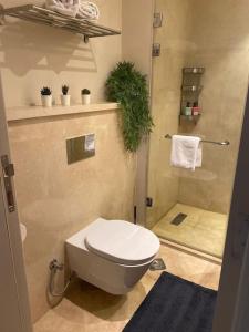ein Bad mit einem WC und einer Dusche in der Unterkunft Mangroovy - Buena Vista Pool and Marina views in Hurghada