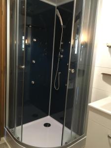 um chuveiro com uma porta de vidro na casa de banho em Landhaus Gaisriegl em Vorderstoder
