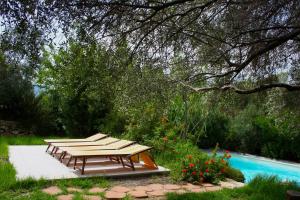 a group of picnic tables sitting next to a pool at Domus Sol Aria in Castiadas