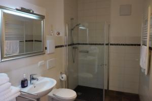 a bathroom with a shower and a toilet and a sink at Alte Post in Bad Griesbach