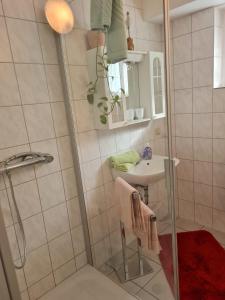 een badkamer met een douche en een wastafel bij Haus am Waldesrand in Tanne