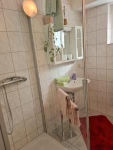 a bathroom with a shower and a sink at Haus am Waldesrand in Tanne