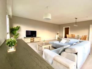 a living room with a couch and a tv at Grand appartement lumineux - Thionville centre in Thionville