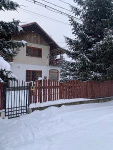 Gallery image of Vila Busteni DORA, locatie superba strada Grivitei 36 in Buşteni