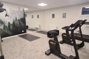 a fitness room with a gym with tread machines at Luxury apartment with pool, sauna, SPA in Champoluc