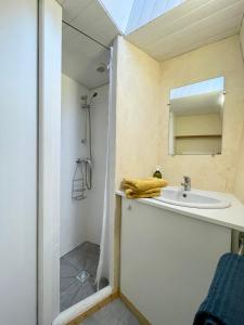 ein Bad mit einem Waschbecken und einer Dusche in der Unterkunft Authentique Penty au coeur du bourg in Roscanvel