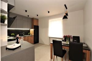 Kuchyňa alebo kuchynka v ubytovaní Apartament Jagiełły