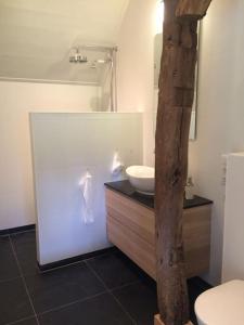 een badkamer met een witte wastafel en een toilet bij Ottenstein in Hierden