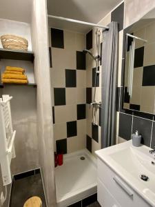 ein Bad mit einer Dusche, einem Waschbecken und einem WC in der Unterkunft Studio avec Balcon proche Gare in Bourg-en-Bresse
