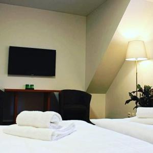 um quarto de hotel com uma cama e uma televisão na parede em Ubytování u Smrku em Jeneč