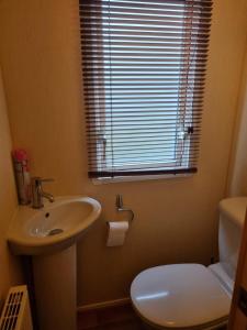 een badkamer met een wastafel, een toilet en een raam bij Chalet Zanderij nr. 16 op Chaletpark Bregkoog in De Koog