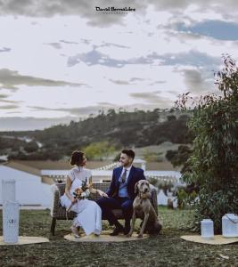 a bride and groom sitting on a chair with a dog at Hacienda Cantalapiedra in El Ronquillo