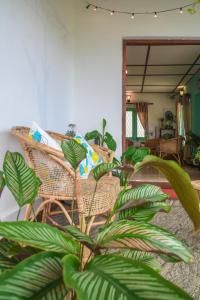 a room with two wicker chairs and a plant at Gregory House Hostel in Nuwara Eliya