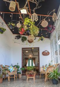 a room with a bunch of potted plants on the ceiling at Gregory House Hostel in Nuwara Eliya