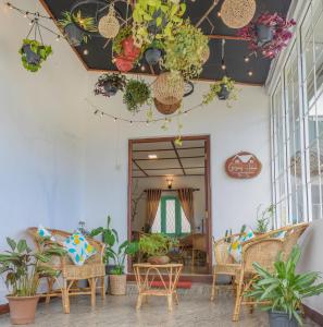 un porche con sillas, macetas y techo en Gregory House Hostel en Nuwara Eliya