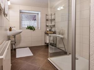 a bathroom with a shower and a sink at Ferienwohnung Schustererhof in Stumm