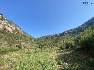 Gallery image of Teela- The Glamping Resort, Jaipur in Udāsar