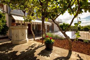 Vonkajšia záhrada v ubytovaní Apartment in Rovinj - Istrien 11487