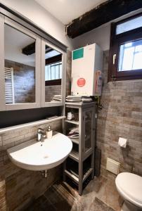 un bagno con lavandino e WC di Grace Apartment in Venice a Venezia