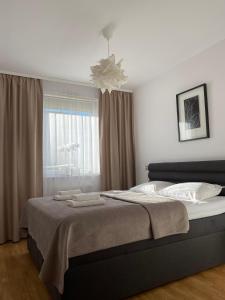 ゴジュフ・ヴィエルコポルスキにあるApartament Trzech Stolicのベッドルーム1室(ベッド1台、タオル2枚付)