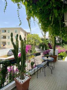 einen Balkon mit einem Tisch, Stühlen und einem Kaktus in der Unterkunft Casa Malo' in Ischia