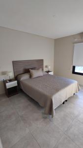 1 dormitorio con 1 cama grande en una habitación en Complejo Turístico Miguel Cané en San Rafael