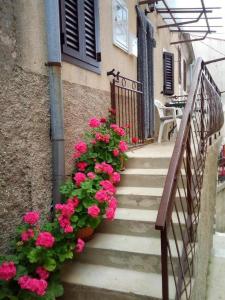 una escalera con geranios rosas frente a un edificio en Holiday Home Nadija, en Brseč