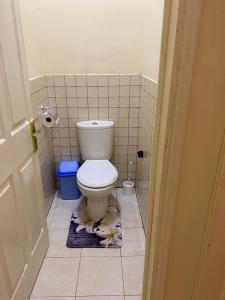 a dog laying on a rug in a bathroom with a toilet at Gardenia Apartments in Pereybere