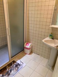 a bathroom with a shower with a dog on the floor at Gardenia Apartments in Pereybere