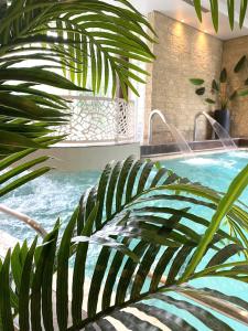 un palmier en face d'une piscine dans l'établissement Quintessia, à Orvault