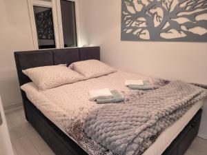 un letto in una camera con due cuscini sopra di Apartament Stella a Duszniki Zdrój