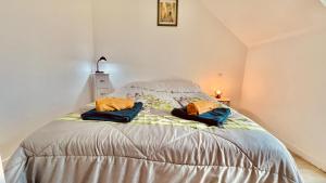 sypialnia z łóżkiem i dwiema poduszkami w obiekcie Kerhos - appartement vue mer w mieście Camaret-sur-Mer