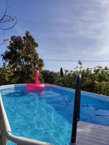 uma piscina com um brinquedo rosa na água em Casa Amarelo-Tiny House with fantastic view-pool and close to the beaches em Silves