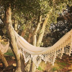a hammock hanging from a tree in a park at Mas Oms in Montnegre