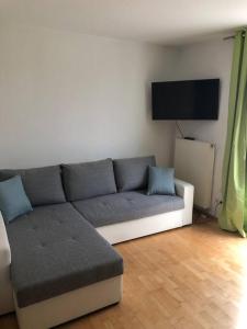 Il comprend un salon doté d'un canapé et d'une télévision à écran plat. dans l'établissement Cozy Appartment with Balcony, à Friedrichshafen