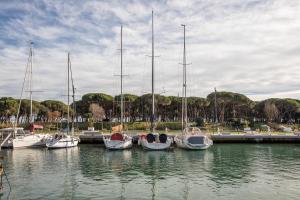Kép Hauzify I Apartament Port Mar szállásáról Platja d'Aróban a galériában