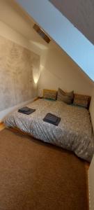 Postel nebo postele na pokoji v ubytování Ruhiges & zentrales Loft in Lörrach