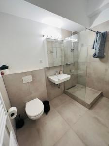 a bathroom with a toilet and a shower and a sink at Big Apartment l 18 Beds l Free Parking l WiFi l in Erwitte