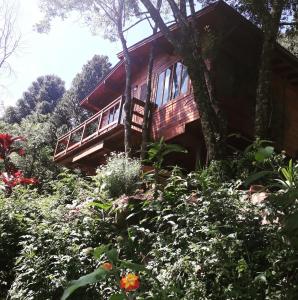 une cabane dans les arbres au milieu d'un jardin dans l'établissement Eco Aldeia, à Nova Petrópolis