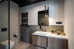 une salle de bain avec un lavabo, des toilettes et un miroir dans l'établissement Apartament Owca na wypasie by Apart Concept Podhale, à Kościelisko