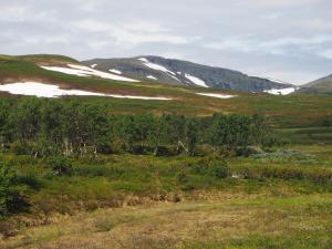 un campo con montañas nevadas en la distancia en Stuga , Funäsdalen, en Funäsdalen