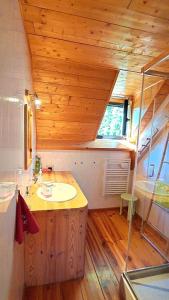 een badkamer met een wastafel en een douche in een huis bij Gîte Laguës in Poueyferré